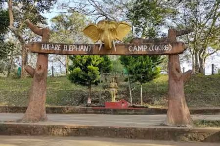 Dubare Elephant Camp