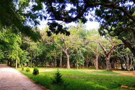 Cubbon Park